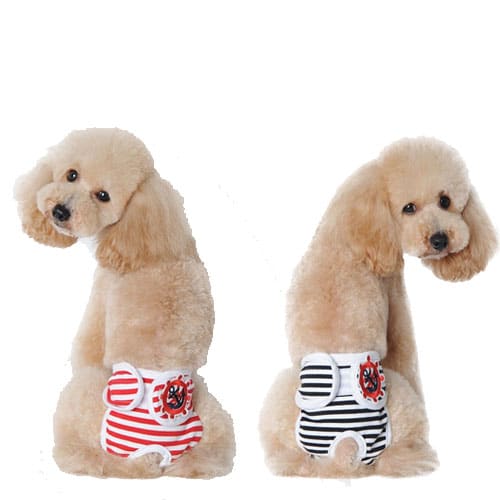 Bombacha Proteccion Pañal Celo