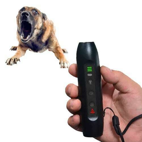 Ahuyentador Perros Adiestrador