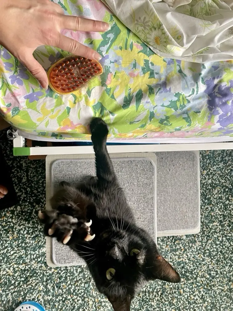 Imagen #1 de Ramiro Fernandez