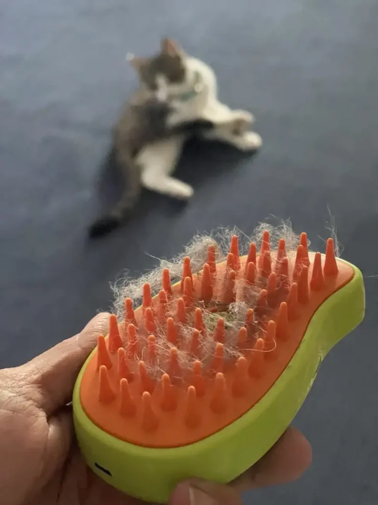 Imagen #1 de Pilar R.