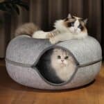 CAMA DE GATO REDONDA