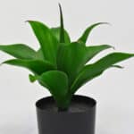 Vista lateral planta artificial