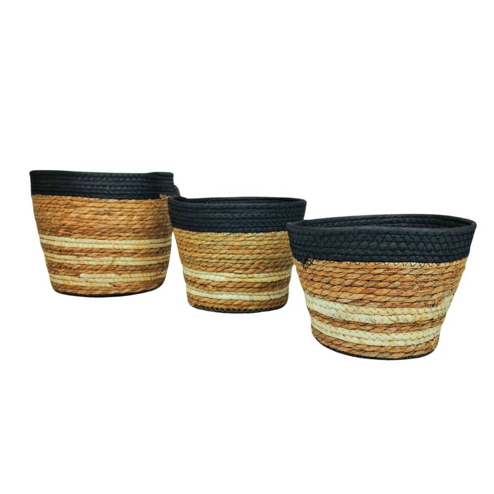 MAR-6529 (4) Cestos seagrass