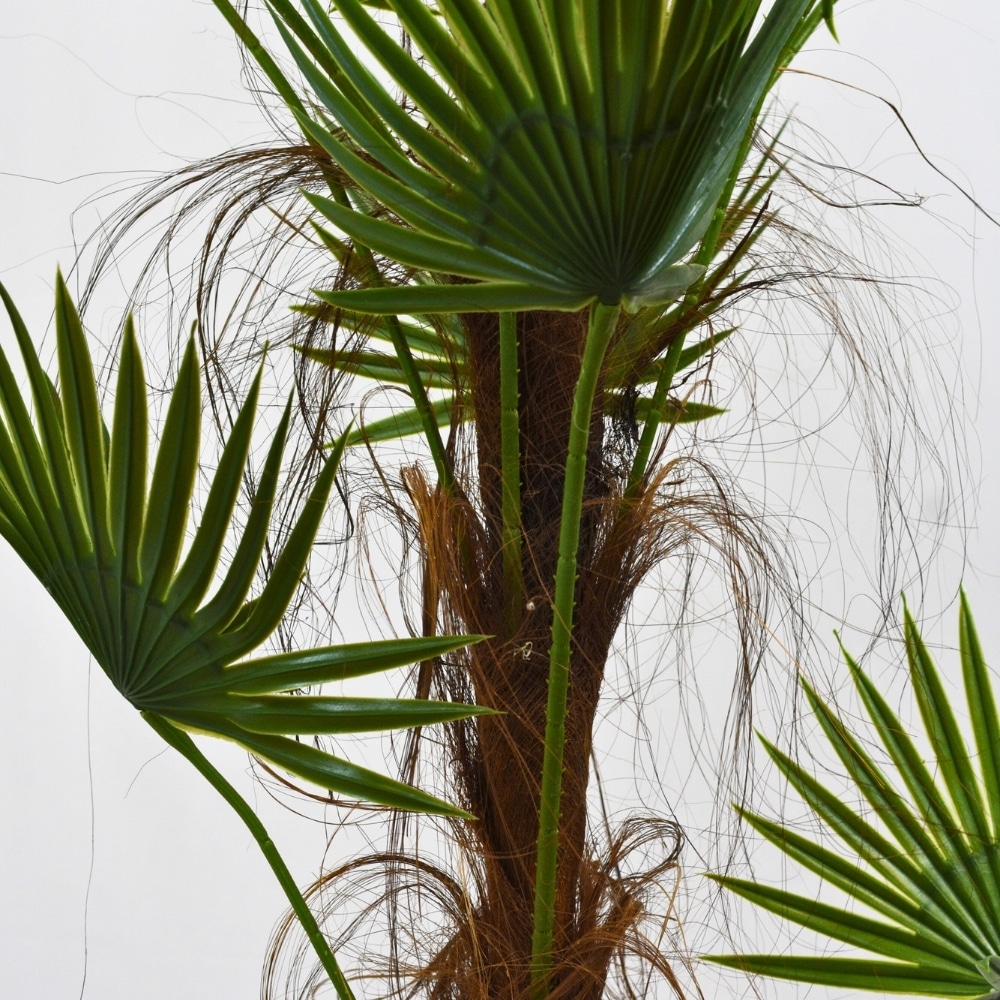 Tronco de cerca texturado