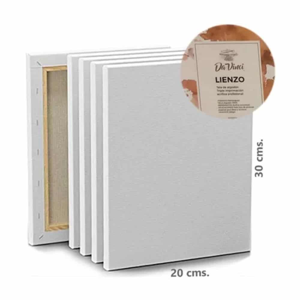 BASTIDOR LIENZO LIENZO BASTIDOR PINTURA