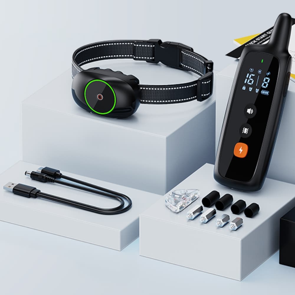 accesorios del collar de entrenamiento