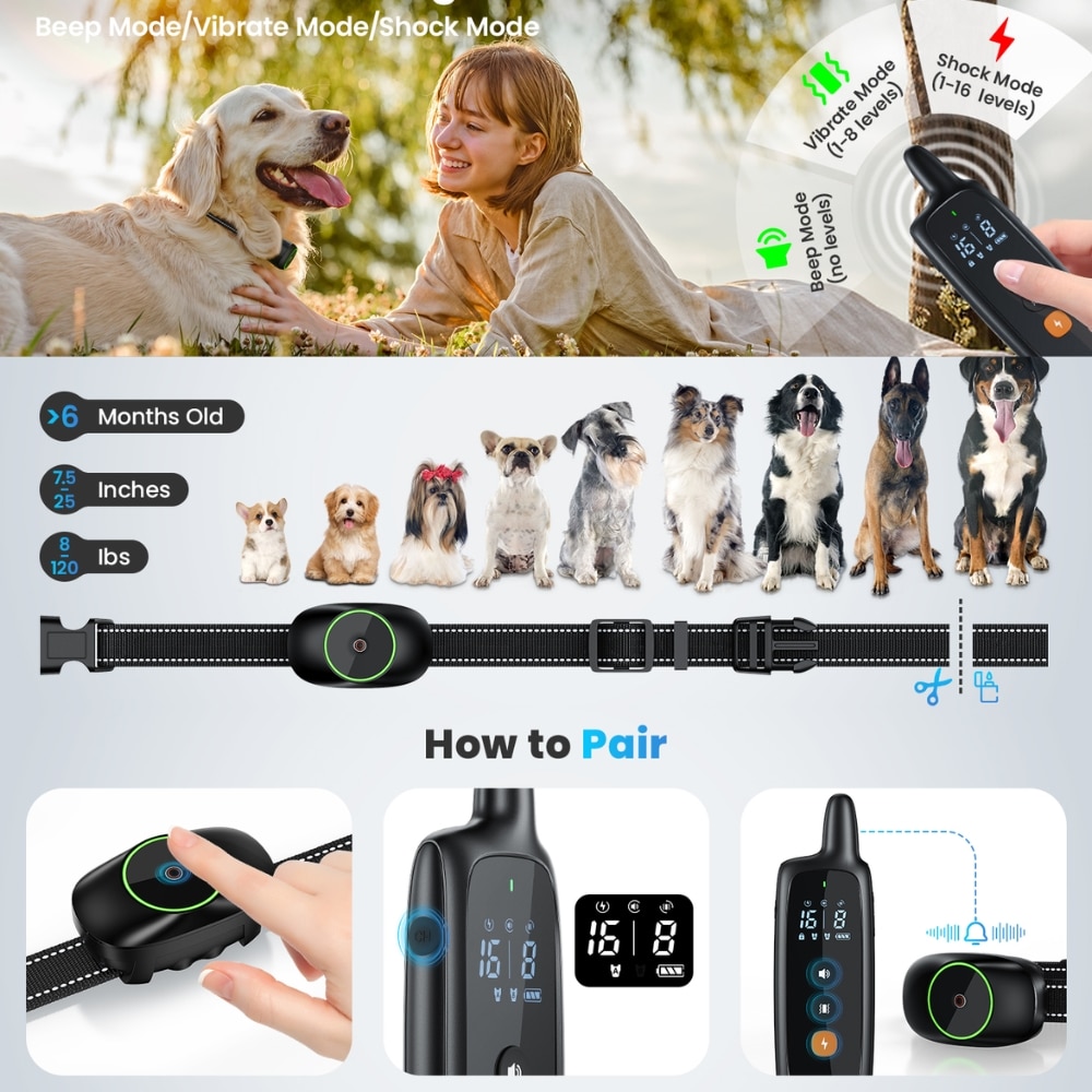 Collar Adiestramiento Para Perros Profesional