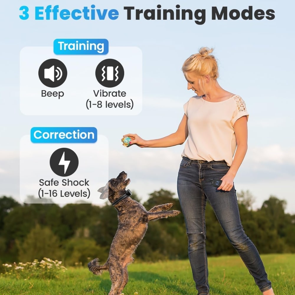 tipos de modos para el collar de entrenamiento