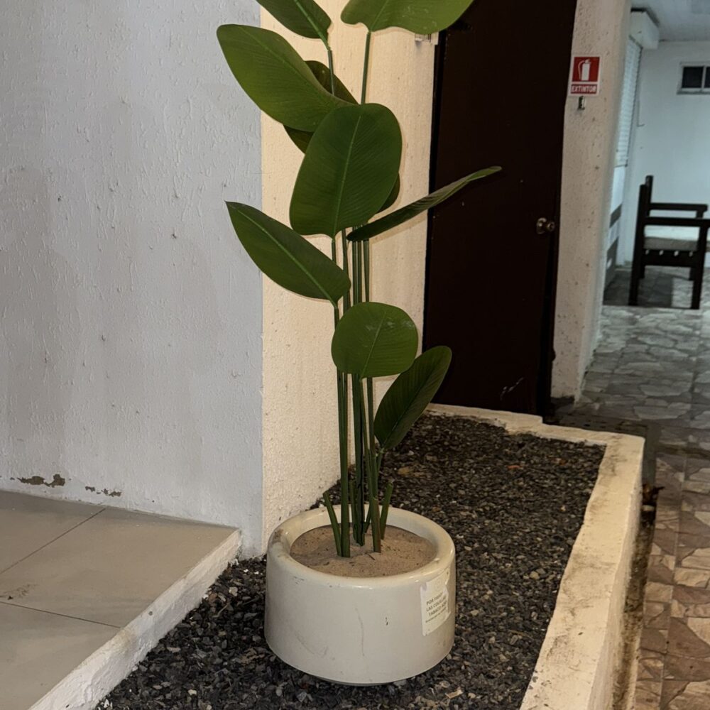 Imagen #1 de Camila Rinaldis